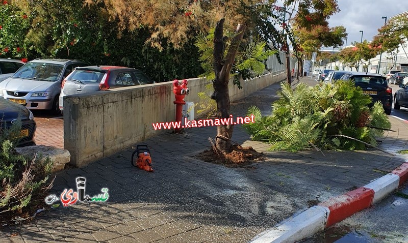 في هذه الأجواء الماطرة ... يكمل العطاء .. طواقم الصيانة ونادر ابو عقل في الميدان يلبون احتياجات الاهالي